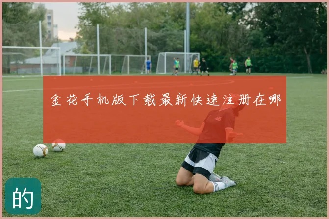 金花手机版下载最新快速注册在哪